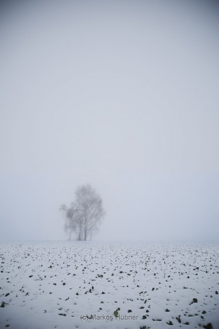 12.02.2015: Winter. Frühling.
