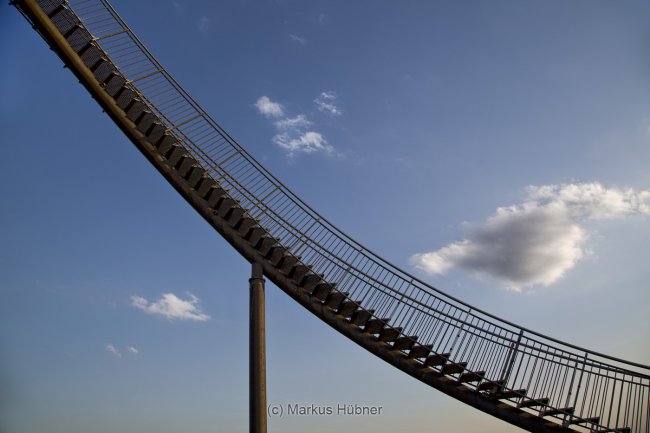 18.04.2015: Tiger and turtle.
