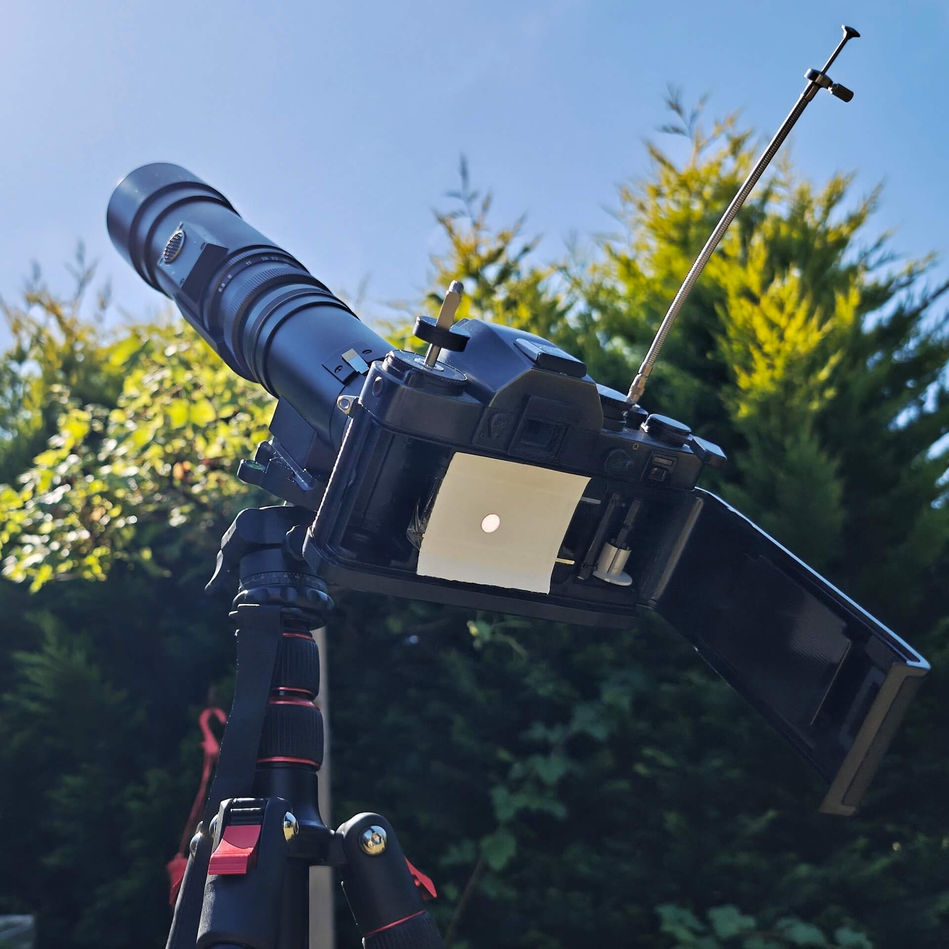Leica R3 mit Leica Telyt 400mm und 2fach Leica Telekonverter