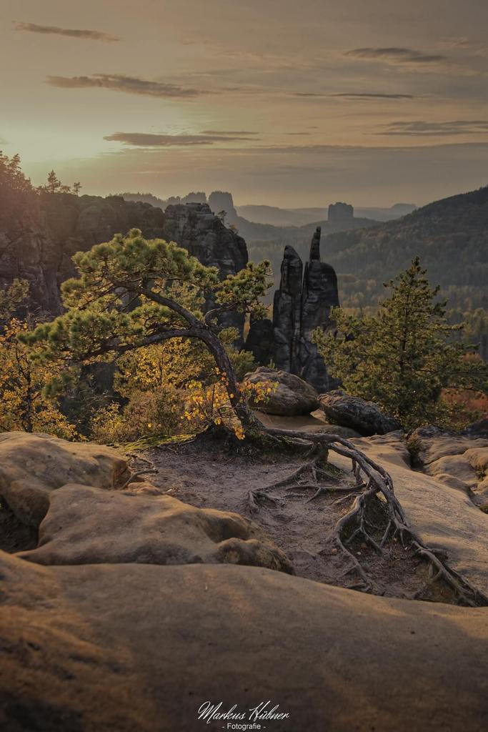 25.11.2025: Brosinnadel.