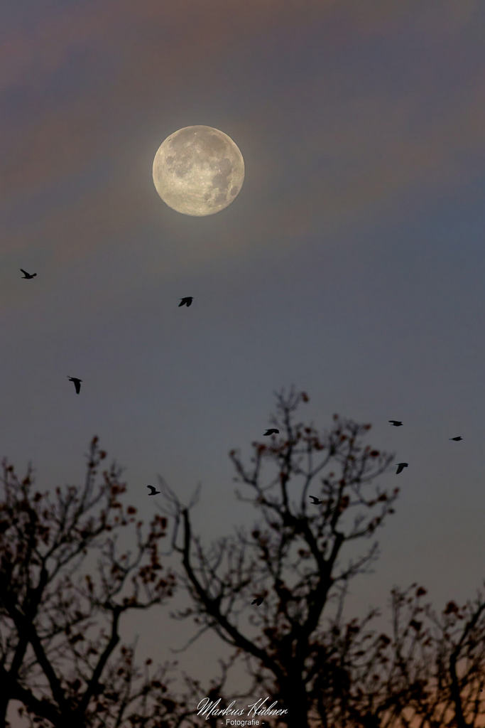 06.11.2025: Monduntergang.