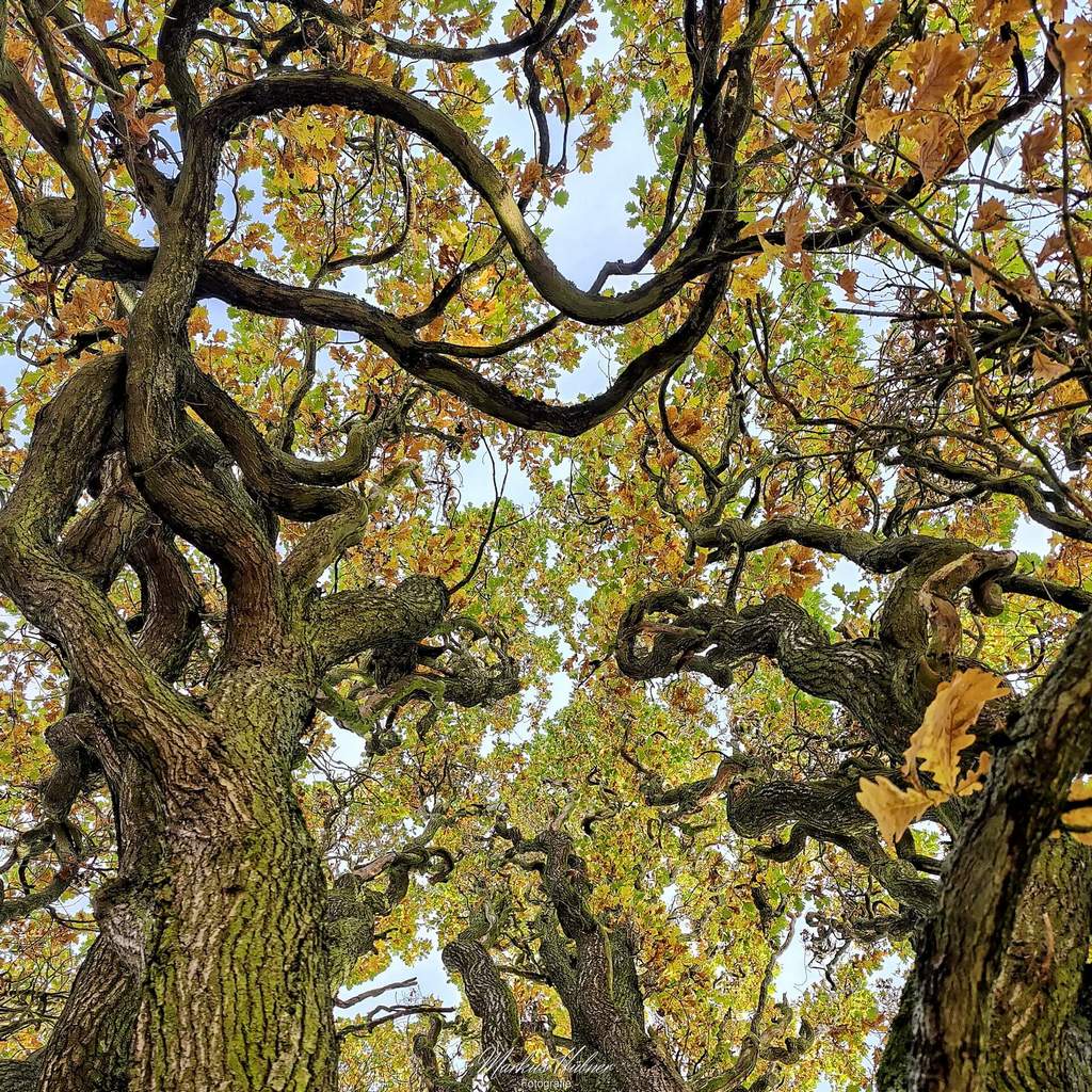 25.03.2026: Fabelwelt.