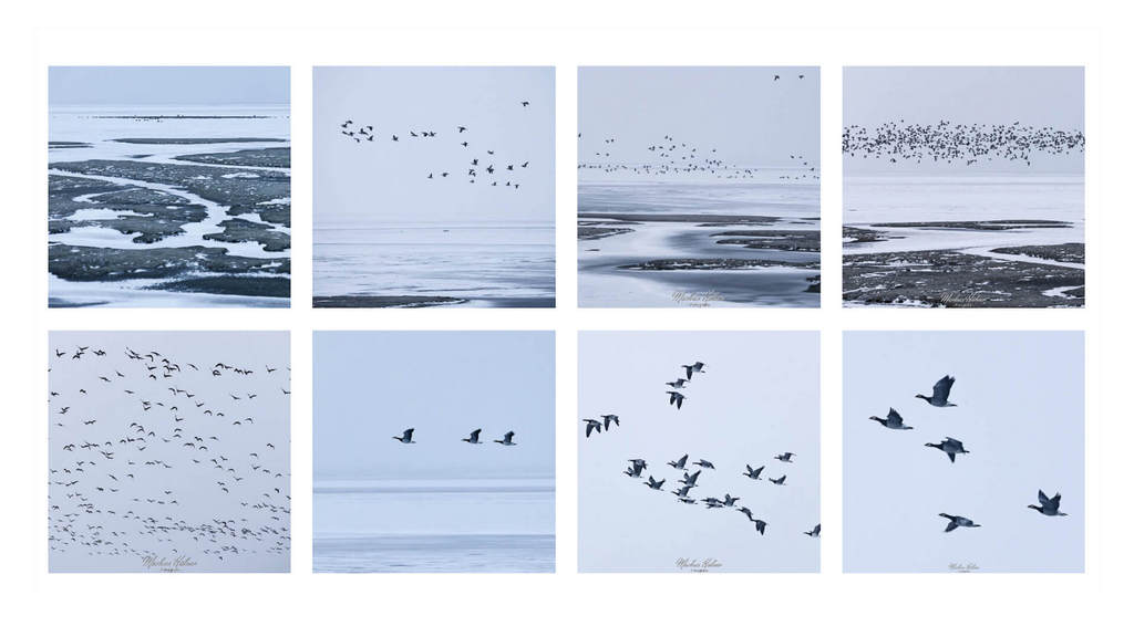 05.03.2026: Küstenwinter.